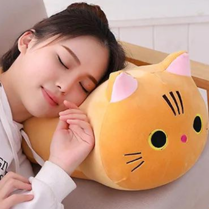 Mjuk och Skön Kattkudde