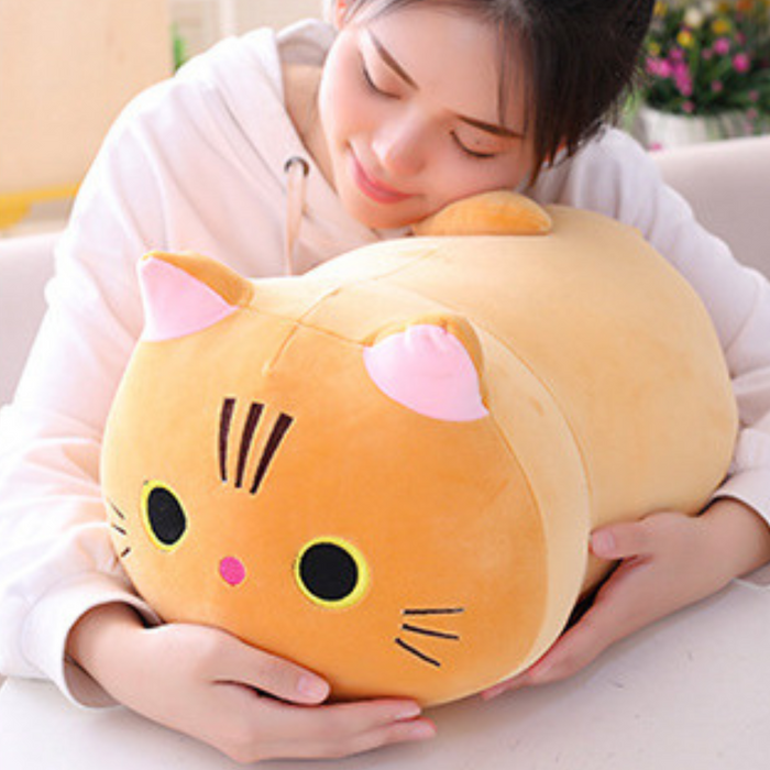 Mjuk och Skön Kattkudde