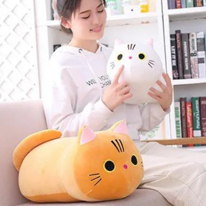 Mjuk och Skön Kattkudde