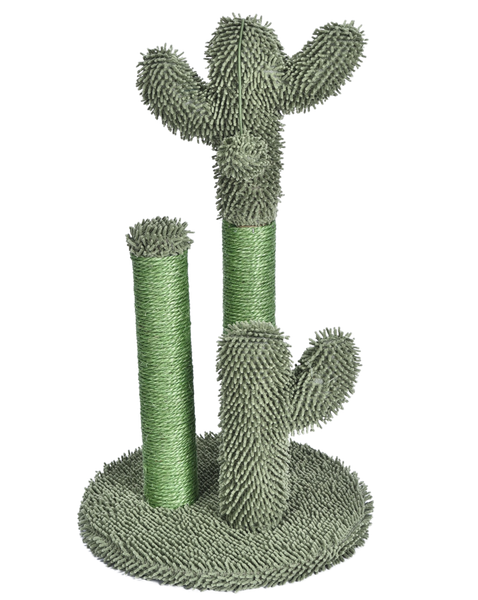 Klösträd - Liten Kaktus