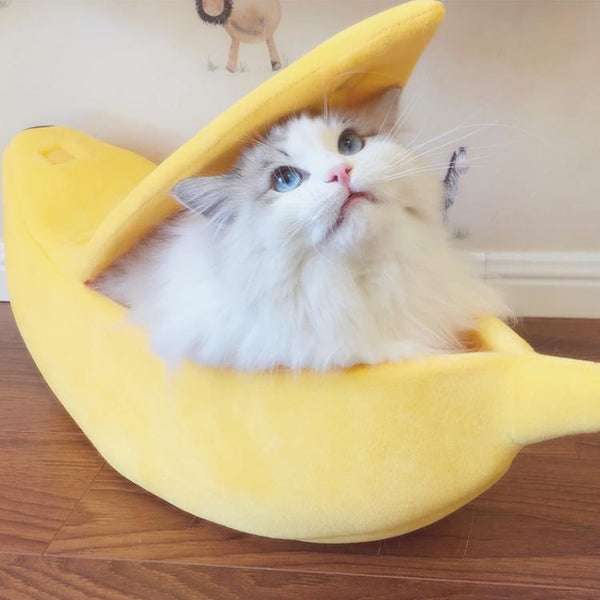Kattsäng / Kattbädd - Banan