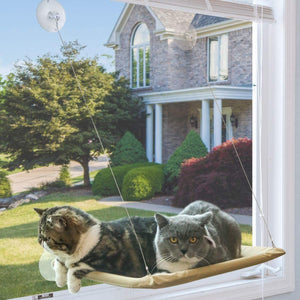 Fönsterbädd för Katt
