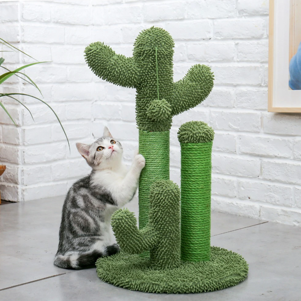 Klösträd - Liten Kaktus