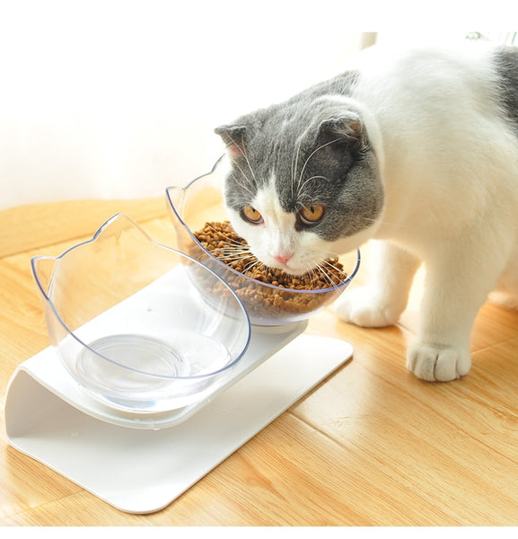 ergonomisk upphöjd matskål för katter kattskål med lutning lutande 15 grader.  dubbel transparent med katt