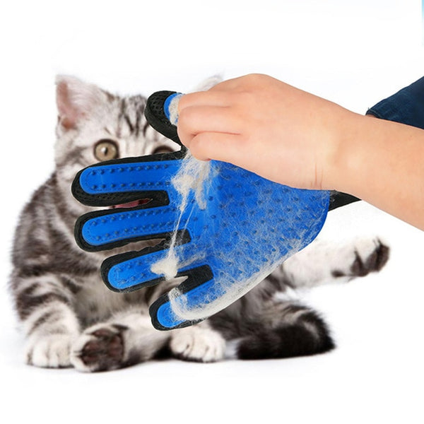 Kattborste - Handske